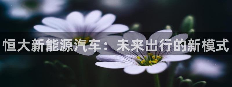 腾耀娱乐众推55312