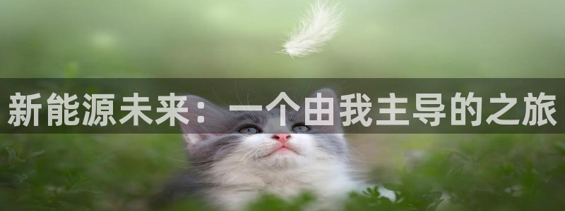 楚雄众腾娱乐是干什么的