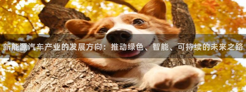 众联别墅g座上腾娱乐有限公司