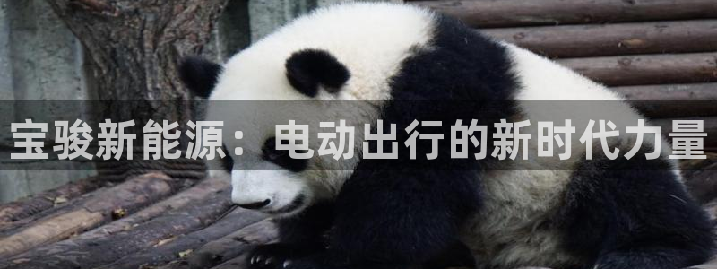 众腾娱乐APP下载