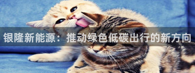 众腾娱乐