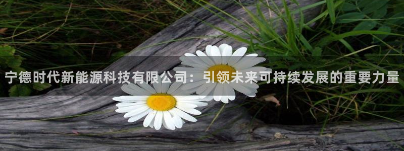 众腾娱乐总代理