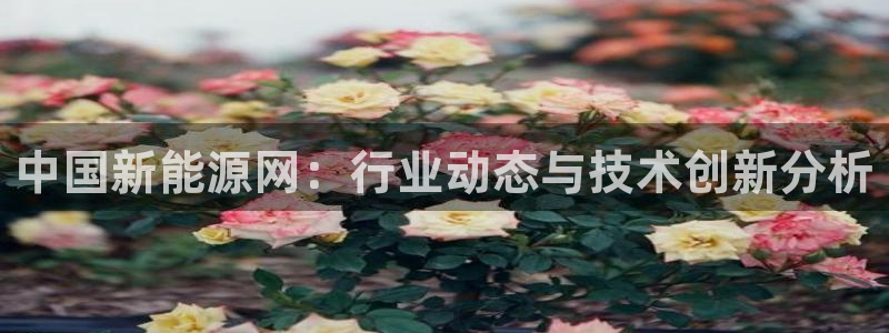 楚雄众腾娱乐是干什么的