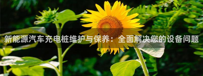 众腾娱乐