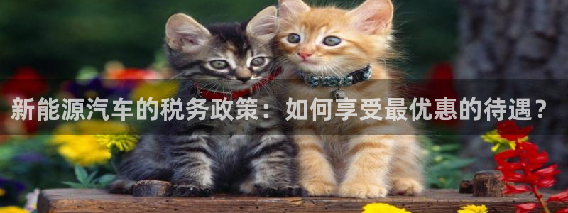 众腾娱乐官方客服电话