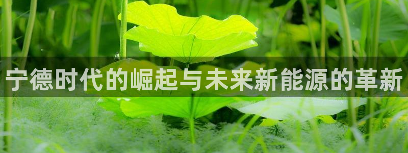 众腾娱乐官方客服电话