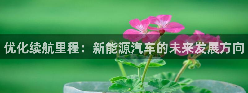 众腾娱乐平台官网入口：优化续航里程：新能