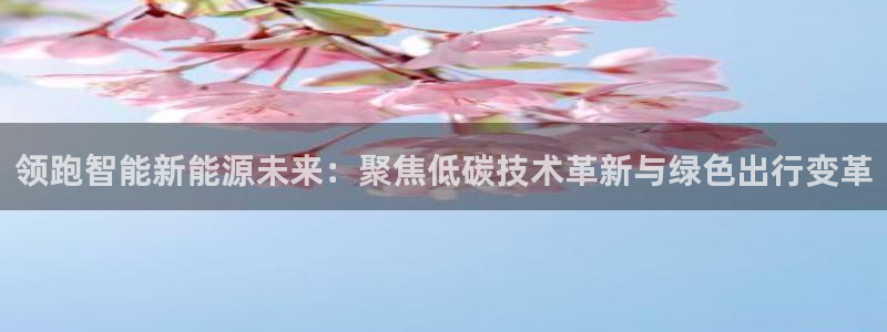 众腾娱乐平台群7O777：领跑智能新能源