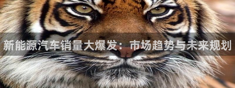 众腾娱乐注册:新能源汽车销量大爆发:市场趋势与未来规划