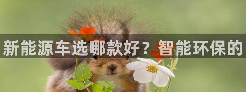 众腾娱乐平台官网入口