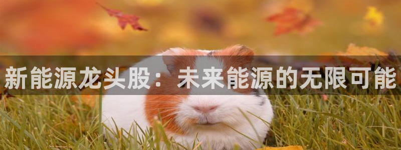 众腾娱乐招商:新能源龙头股:未来能源的无限可能