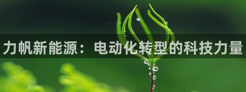 众腾娱乐代理怎么样：力帆新能源：电动化转