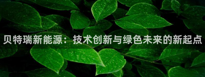 众腾娱乐文化怎么样：贝特瑞新能源：技术创