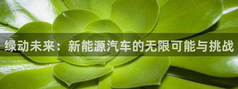 腾众竞技娱乐：绿动未来：新能源汽车的无限