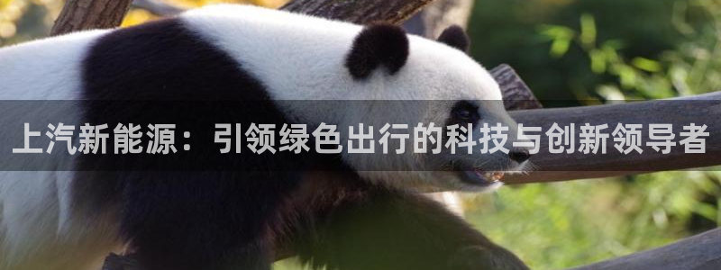 众腾娱乐公司简介：上汽新能源：引领绿色出