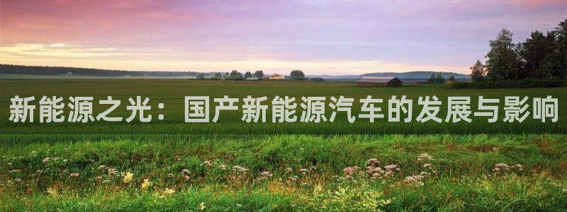 腾耀3娱乐众推8 28：新能源之光：国产