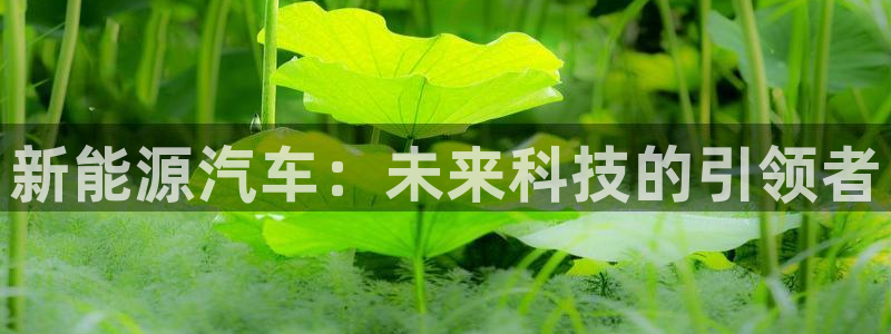 众腾娱乐毕 7O935
