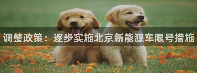 腾耀3娱乐众推8 28