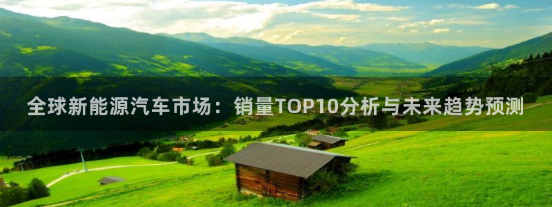 楚雄众腾娱乐是干什么的:全球新能源汽车市场:销量TOP10分