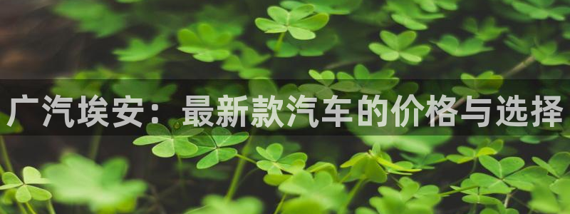 众东腾娱乐客服：广汽埃安：最新款汽车的价