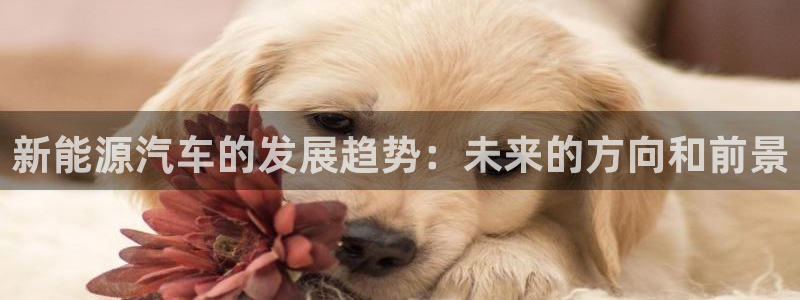 腾耀娱乐众推55312：新能源汽车的发展