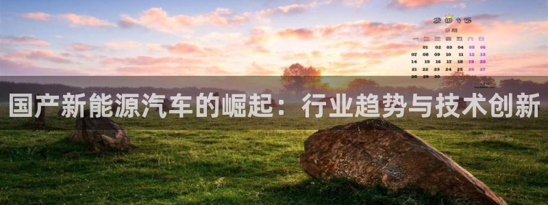 内蒙古众腾娱乐文化法人：国产新能源汽车的