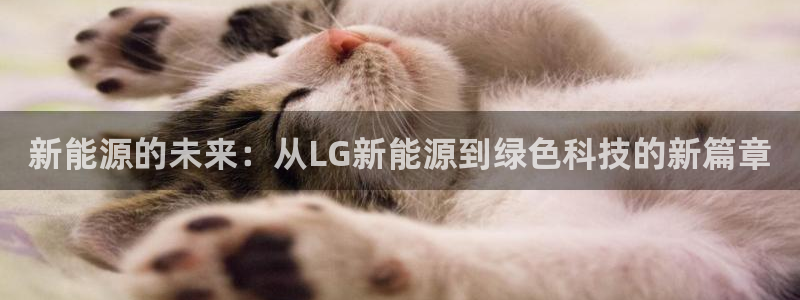 岳阳众腾ktv娱乐：新能源的未来：从LG