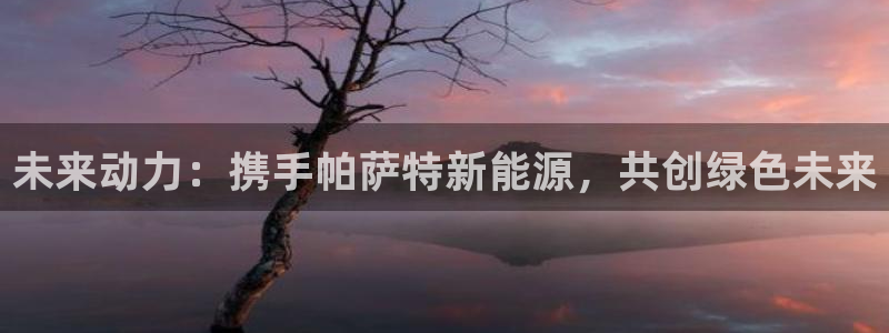 众腾娱乐客服:未来动力:携手帕萨特新能源,共创绿色未来