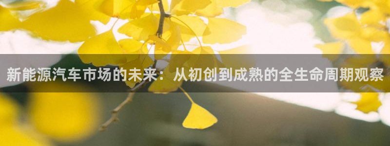 岳阳众腾ktv娱乐:新能源汽车市场的未来:从初创到成熟的全生