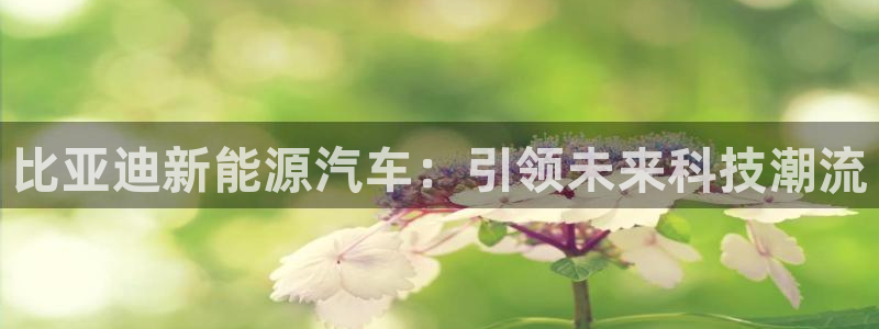 众东腾娱乐客服:比亚迪新能源汽车:引领未来科技潮流