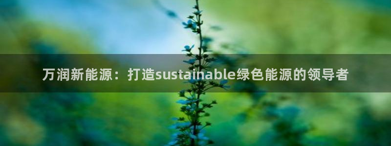 众腾娱乐平台官网入口:万润新能源:打造sustainable