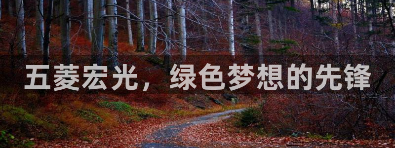 腾耀3娱乐众123:五菱宏光,绿色梦想的先锋