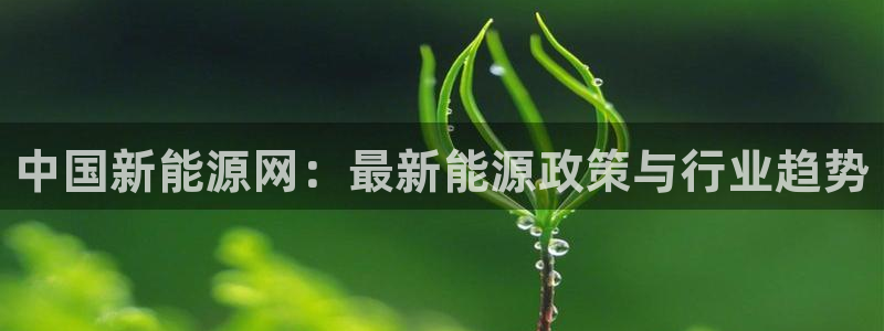 楚雄众腾娱乐在哪里:中国新能源网:最新能源政策与行业趋势