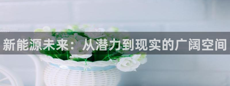 腾众娱乐是什么:新能源未来:从潜力到现实的广阔空间