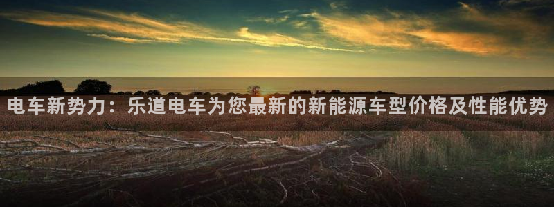 楚雄众腾娱乐：电车新势力：乐道电车为您最