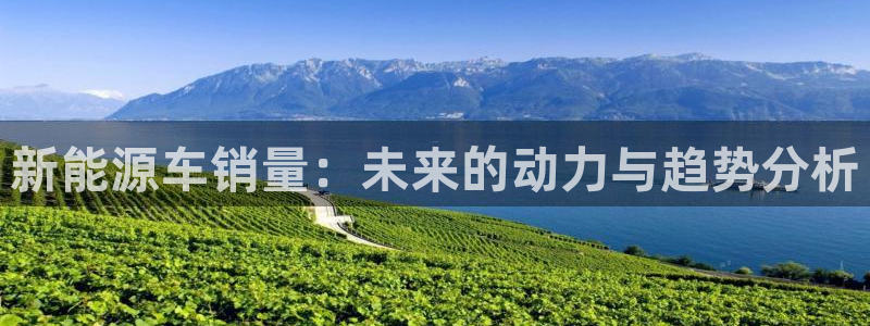 腾耀娱乐众320059:新能源车销量:未来的动力与趋势分析