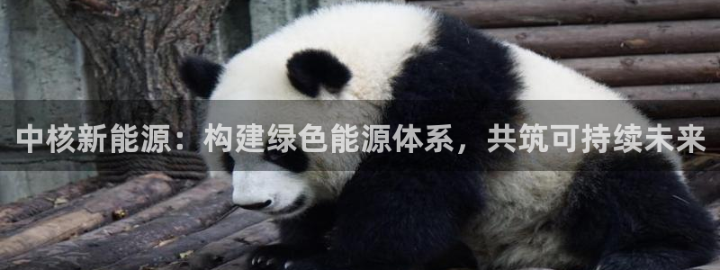 众腾娱乐梦幻演艺店