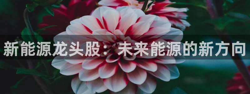 腾讯旗下的腾众娱乐:新能源龙头股:未来能源的新方向