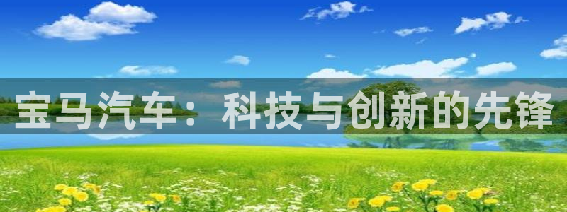 楚雄众腾娱乐在哪里:宝马汽车:科技与创新的先锋