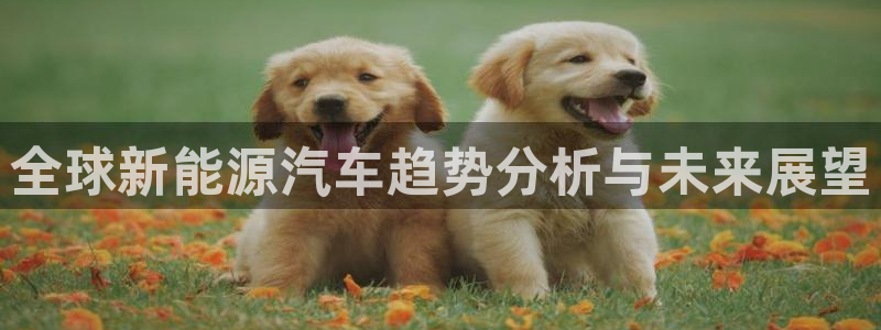 众联别墅g座上腾娱乐有限公司:全球新能源汽车趋势分析与未来展