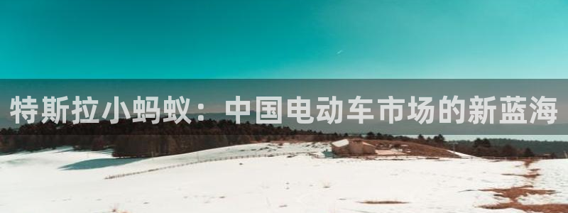 楚雄众腾娱乐在哪里:特斯拉小蚂蚁:中国电动车市场的新蓝海