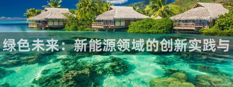 包头众腾娱乐密室逃脱:绿色未来:新能源领域的创新实践与