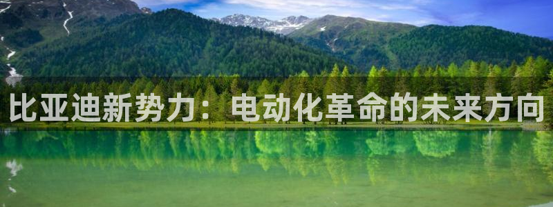 众腾娱乐扣款是正规的吗:比亚迪新势力:电动化革命的未来方向