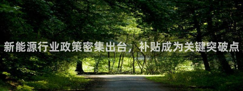 腾耀娱乐众推55312:新能源行业政策密集出台,补贴成为关键