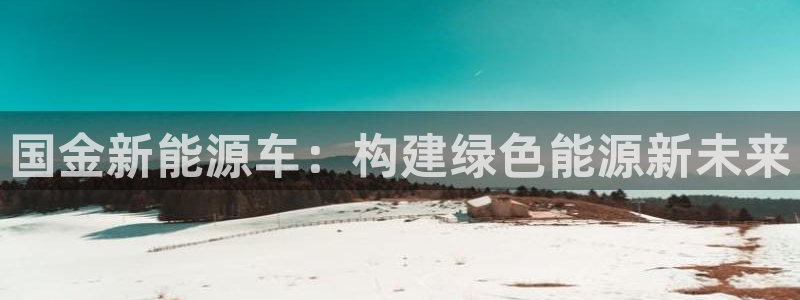 腾耀娱乐29999出众:国金新能源车:构建绿色能源新未来
